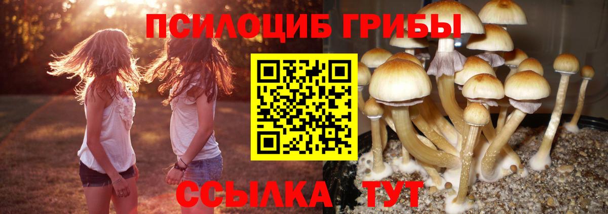 Арзамас  Псилоцибиновые грибы Magic Shrooms  Псилоцибиновые грибы ЛСД  Вход с VPN 